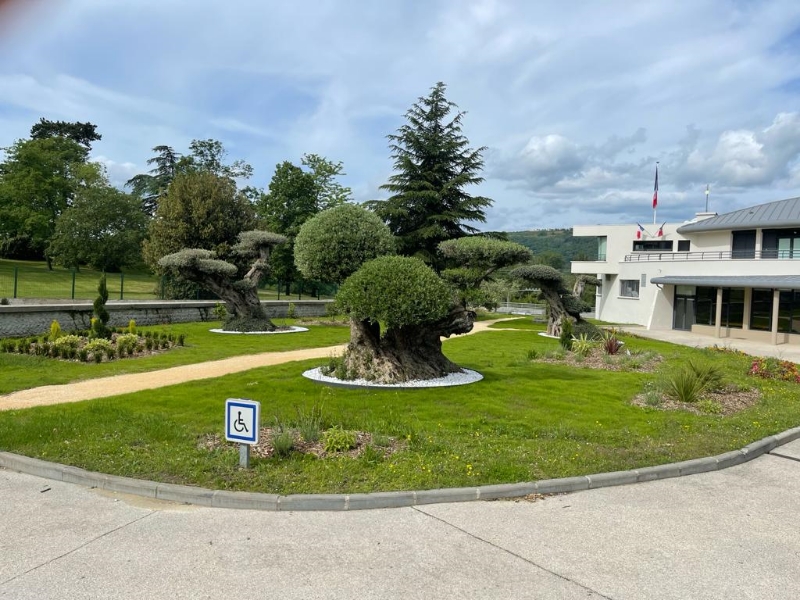 UN JOUR UN OLIVIER Acheter Un Olivier Bordeaux Herblain F8c7e872 A379 4f02 A4c7 D714e4c0cce6