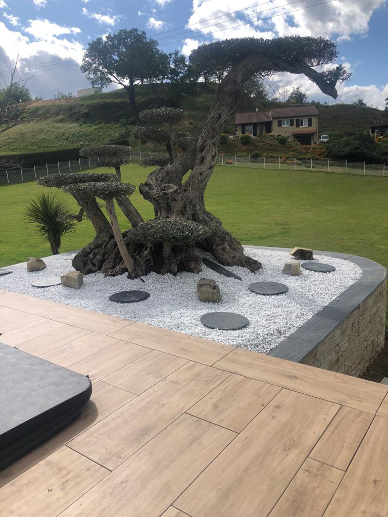 UN JOUR UN OLIVIER Acheter Un Olivier Bordeaux Herblain 7