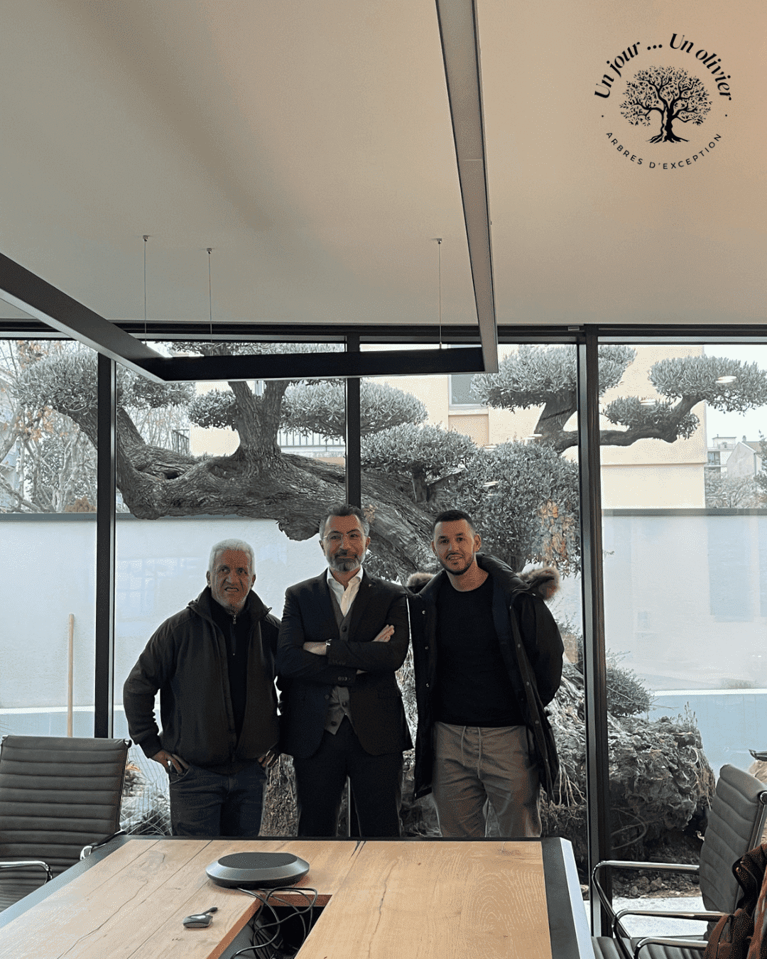 Un Jour Un Olivier Acheter Un Olivier Bordeaux Herblain Realisations 2