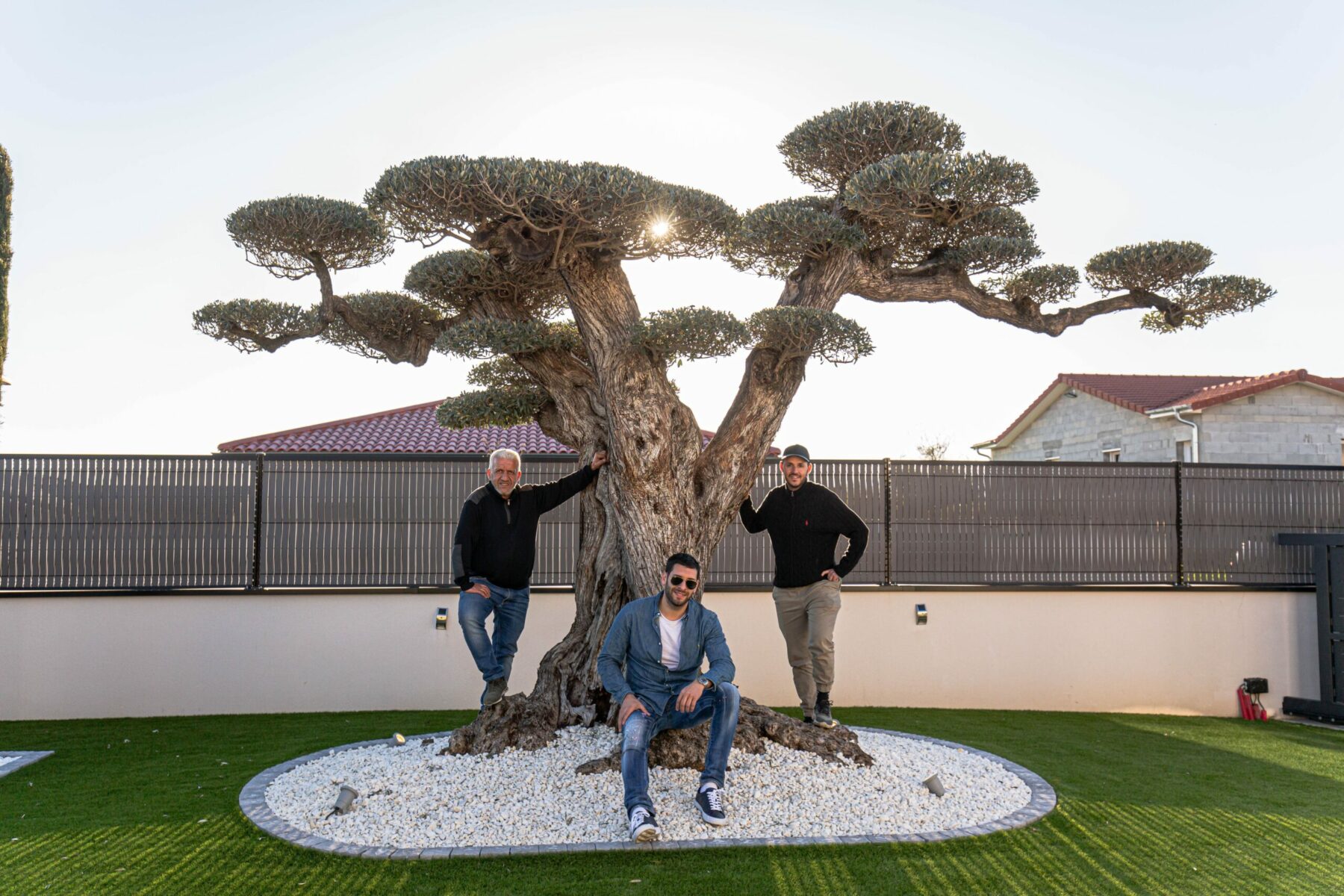 Un Jour Un Olivier Acheter Un Olivier Bordeaux Herblain Realisations 4