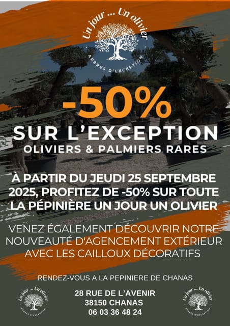 Un Jour Un Olivier Acheter Un Olivier Bordeaux Herblain Promo 